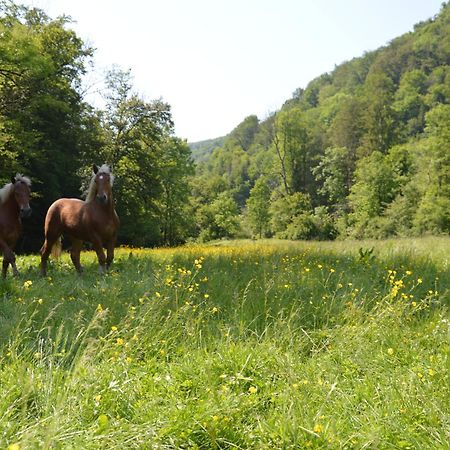 Moulin De La Cuse - Chambre L'Anse Cusance Екстер'єр фото