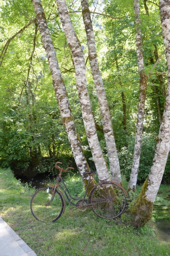 Moulin De La Cuse - Chambre L'Anse Cusance Екстер'єр фото